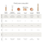 PureMatch Liquid Concealer - TEMOF 