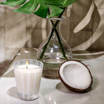 Coconut and Palm Candle - TEMOF 