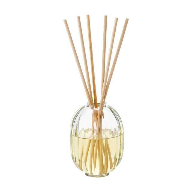 34 Boulevard Saint Germain Reed Diffuser - Temof 