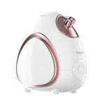 Rivo Nano-Glow Facial Steamer - Temof 