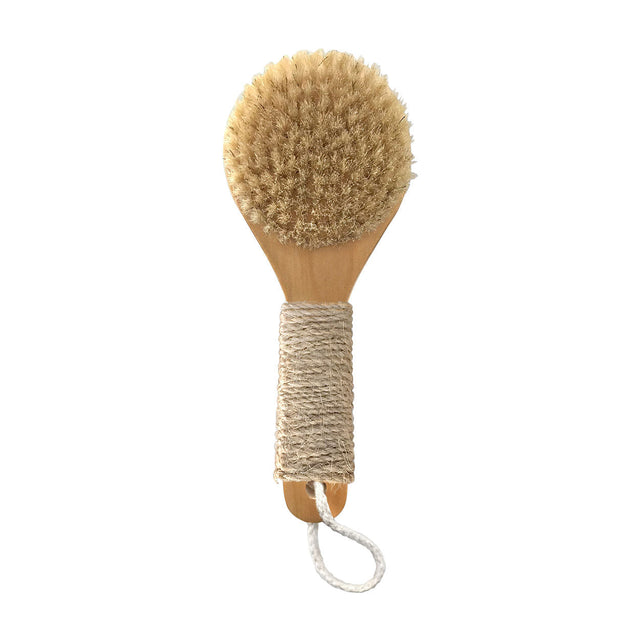 Dry Brush - Temof Store 