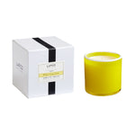 White Grapefruit Candle - TEMOF 