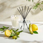 Santorini Olive and Citron Candle - TEMOF 