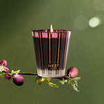 Autumn Plum Candle - TEMOF 