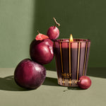 Autumn Plum Candle - TEMOF 