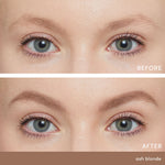 PureBrow Brow Powder - TEMOF 